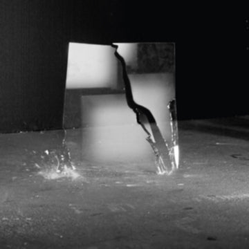 SCHWALM, JAN-PETER | BEAUTY OF DISASTER | VINYL RECORD (LP)