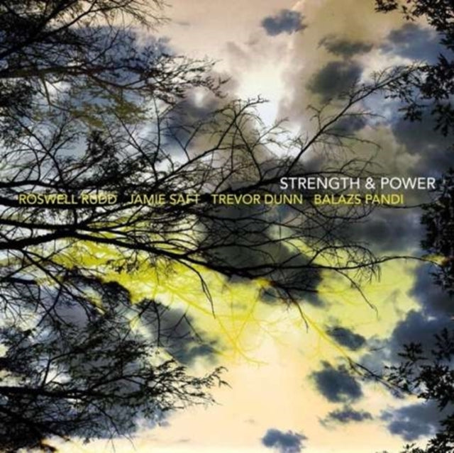 RUDD, ROSWELL / SAFT, JAMIE / DUNN, TREVOR DUNN / PANDI, BALAZS | STRENGTH & POWER | VINYL RECORD (LP)