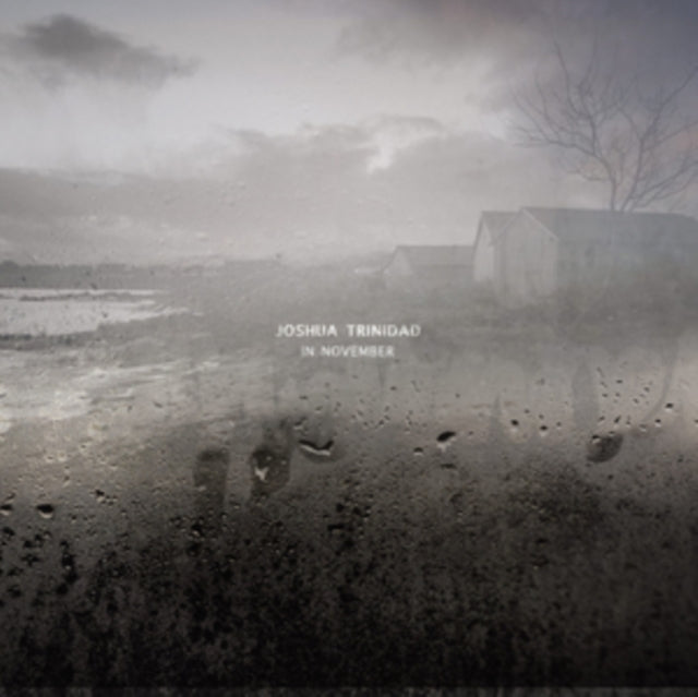 TRINIDAD, JOSHUA | IN NOVEMBER | VINYL RECORD (LP)