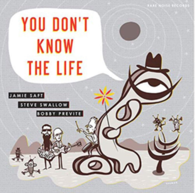 SAFT, JAMIE; SWALLOW, STEVE; PREVITE, BOBBY | YOU DON'T KNOW THE LIFE | VINYL RECORD (LP)