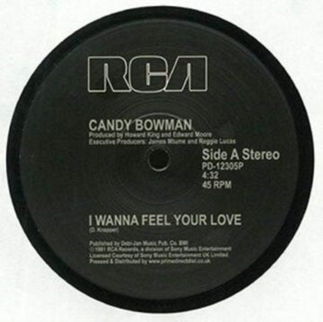 I WANNA FEEL YOUR LOVE | 12IN VINYL