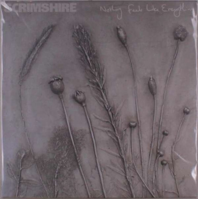 SCRIMSHIRE | NOTHING FEELS LIKE EVERYTHING (PICTURE SLEEVE) | VINYL RECORD (LP)