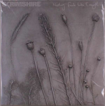 SCRIMSHIRE | NOTHING FEELS LIKE EVERYTHING (PICTURE SLEEVE) | VINYL RECORD (LP)