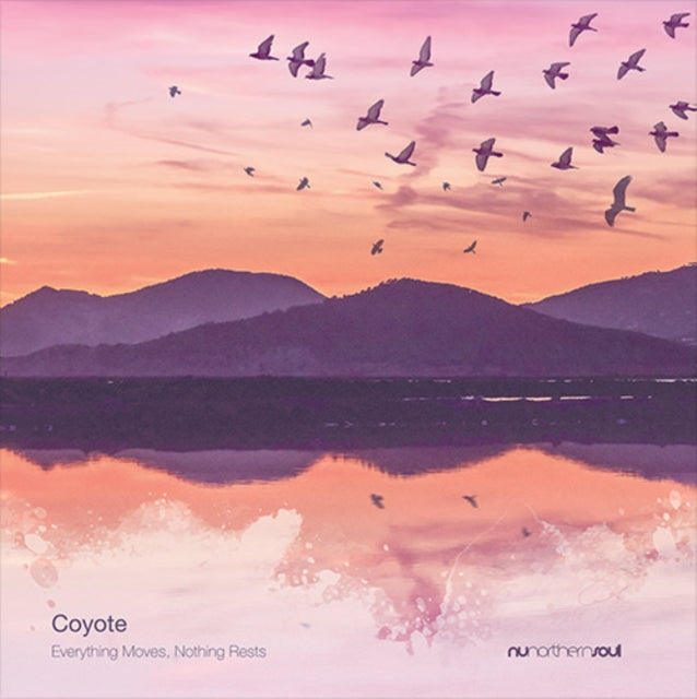 COYOTE | EVERYTHING MOVES, NOTHING RESTS | VINYL RECORD (LP)
