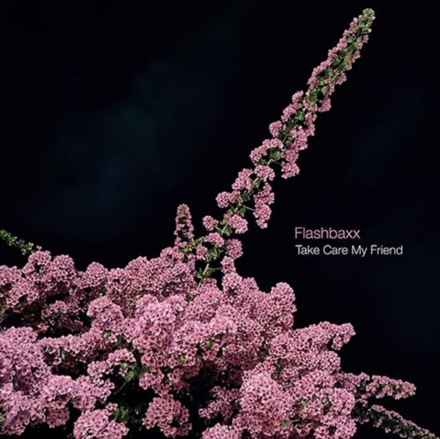 FLASHBAXX | TAKE CARE MY FRIEND | VINYL RECORD (LP)