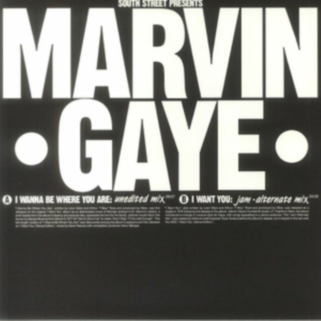GAYE, MARVIN | I WANNA BE WHERE ARE I WANT YOU (IMPORT) | 12IN VINYL