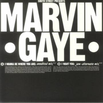 GAYE, MARVIN | I WANNA BE WHERE ARE I WANT YOU (IMPORT) | 12IN VINYL