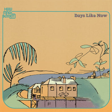 DAYS LIKE NOW | VINYL RECORD (LP)