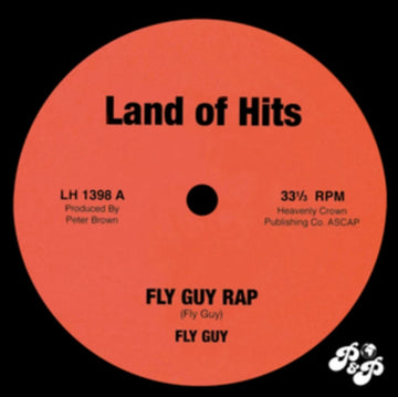 FLY GUY RAP | 7IN VINYL