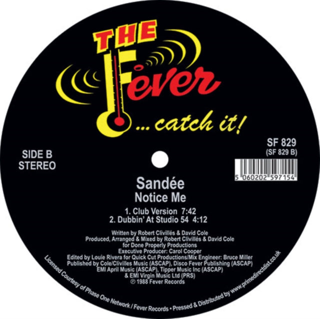 SANDEE | NOTICE ME | 12IN VINYL
