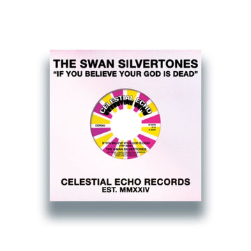 IF YOU BELIEVE YOUR GOD IS DEAD (TRY MINE) | 7IN VINYL