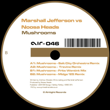 MUSHROOMS (2025 REMIXES) | 12IN VINYL
