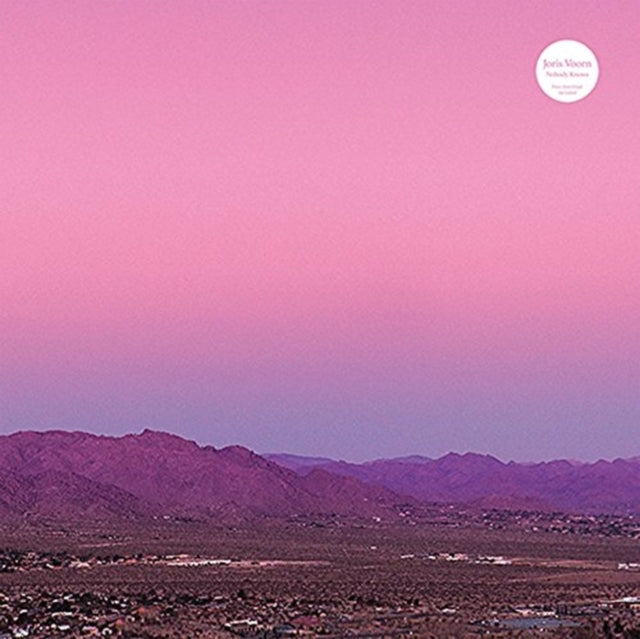 VOORN, JORIS | NOBODY KNOWS (VINYL VERSIONS) (3LP) | VINYL RECORD (LP)