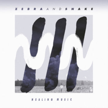 HEALING MUSIC | VINYL RECORD (LP)