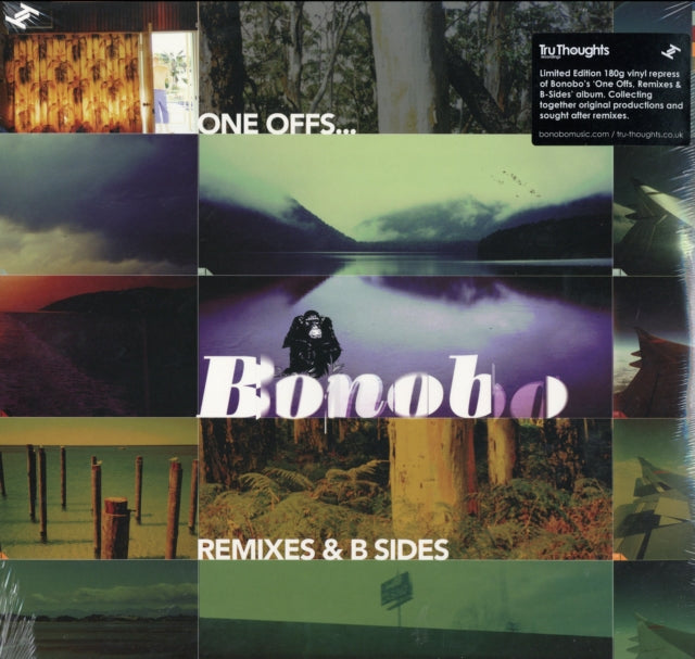 BONOBO | ONE OFFS REMIXES & B-S | VINYL RECORD (LP)