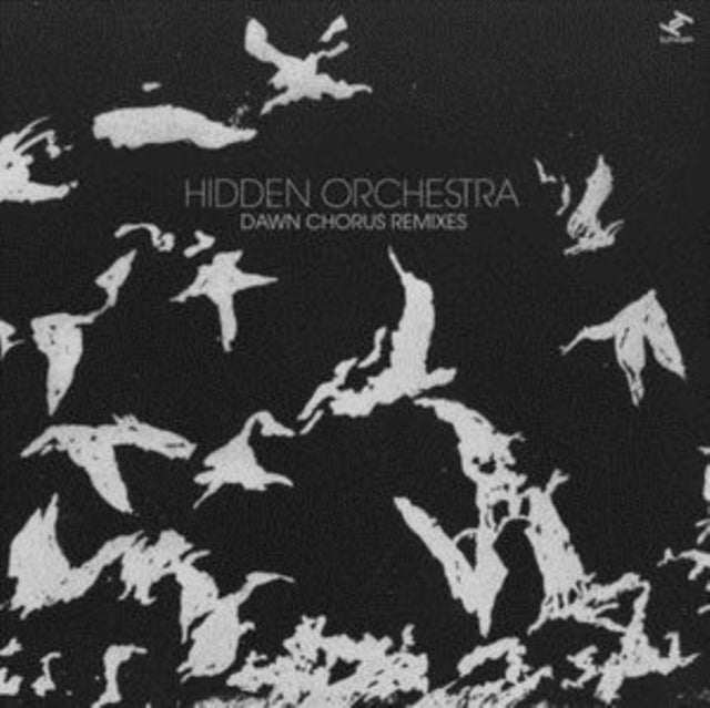 HIDDEN ORCHESTRA | DAWN CHORUS REMIXES | VINYL RECORD (LP)