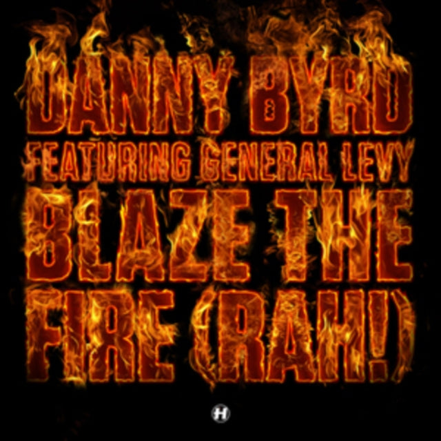 BYRD, DANNY | BLAZE THE FIRE | 12IN VINYL