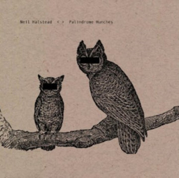 PALINDROME HUNCHES (LIMITED) | VINYL RECORD (LP)