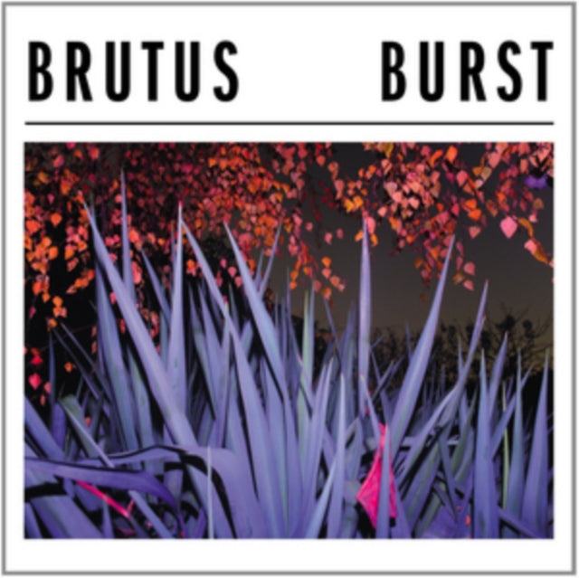 BRUTUS | BURST | CD