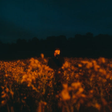 LEFTWICH, BENJAMIN FRANCIS | SOME THINGS BREAK (EVENING SKY VINYL) | VINYL RECORD (LP)