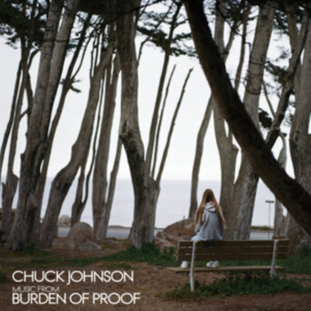 JOHNSON, CHUCK | BURDEN OF PROOF (SILVER VINYL) | VINYL RECORD (LP)
