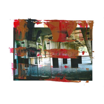 FAMY | DONKEY | VINYL RECORD (LP)
