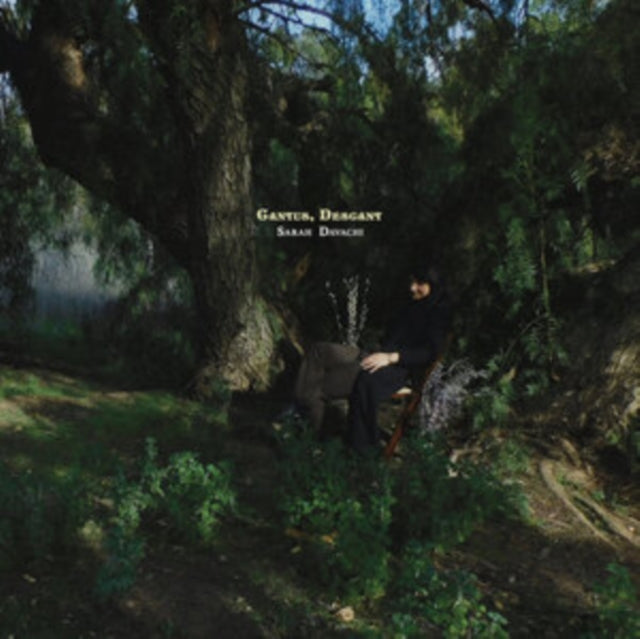 DAVACHI, SARAH | CANTUS, DESCANT (2LP/DL CARD) | VINYL RECORD (LP)