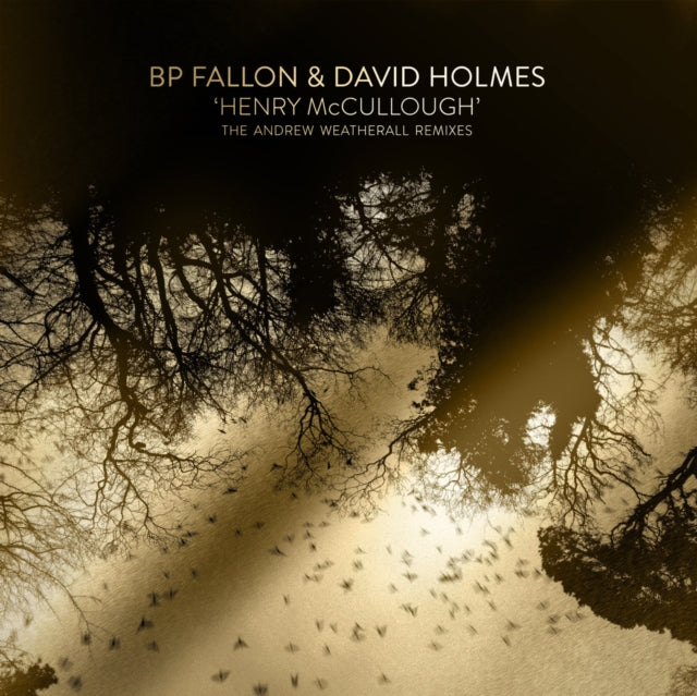 BP FALLON | HENRY MCCULLOUGH | 12IN VINYL