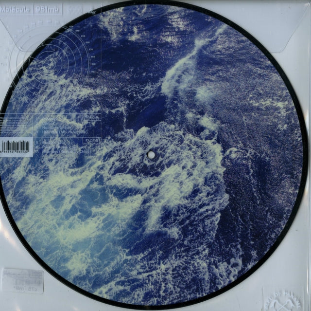 MOLECULE | 981 MB | 12IN VINYL