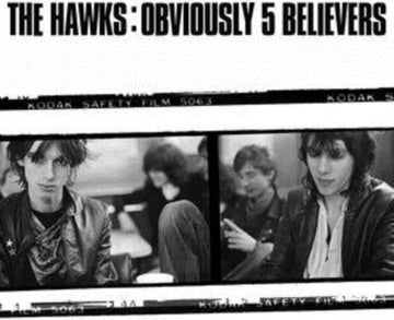 HAWKS | OBVIOUSLY 5 BELIEVERS | VINYL RECORD (LP)