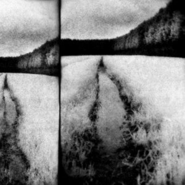 TENEBROUS LIAR | CUT | VINYL RECORD (LP)