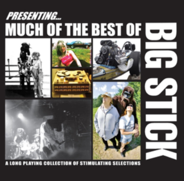 BIG STICK | MUCH OF THE BEST OF BIG STICK | VINYL RECORD (LP)