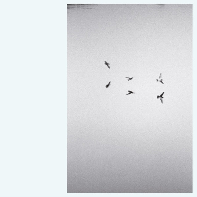 BARLEY, KIRK | LANDSCAPES | VINYL RECORD (LP)
