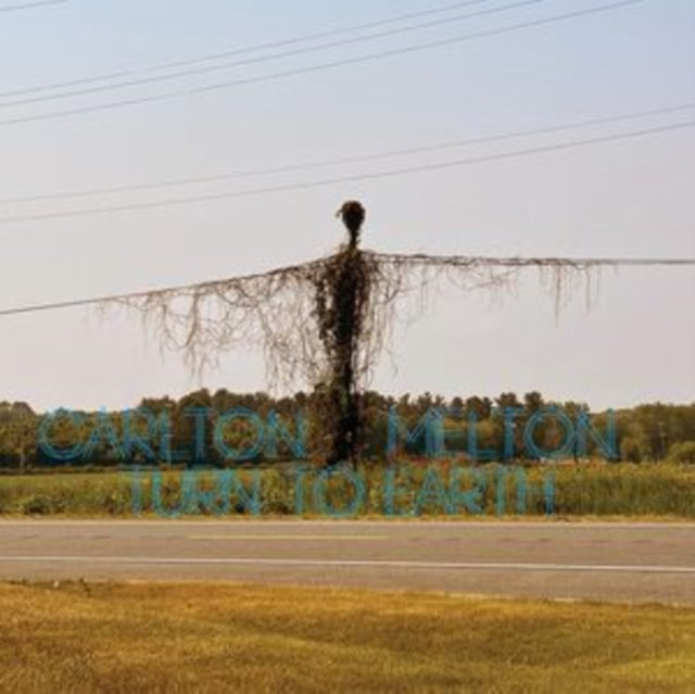 MELTON, CARLTON | TURN TO EARTH (2LP) | VINYL RECORD (LP)