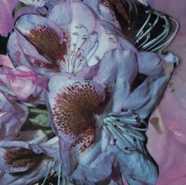 WINTER, TERESA | PROSERPINE | VINYL RECORD (LP)