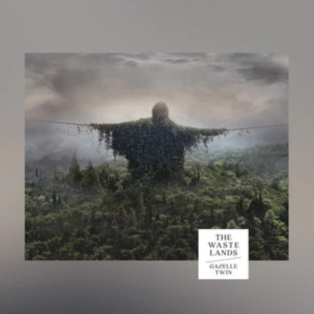 GAZELLE TWIN | WASTELANDS | VINYL RECORD (LP)