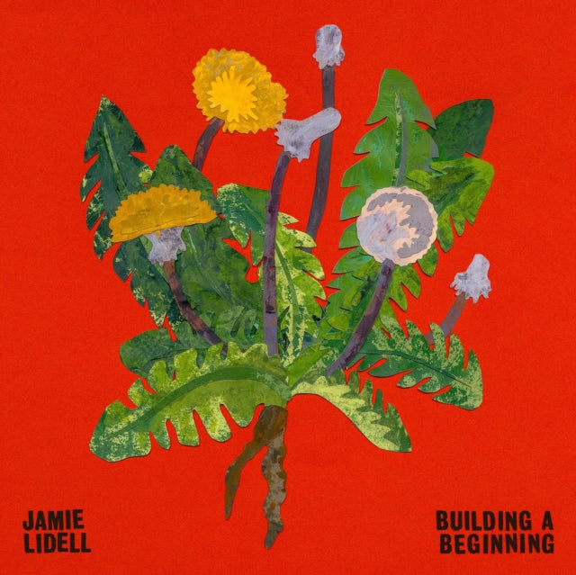 LIDELL, JAMIE | BUILDING A BEGINNING | VINYL RECORD (LP)