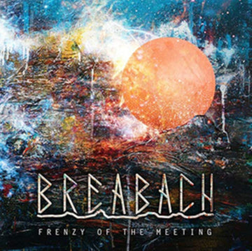 FRENZY OF THE MEETING | VINYL RECORD (LP)