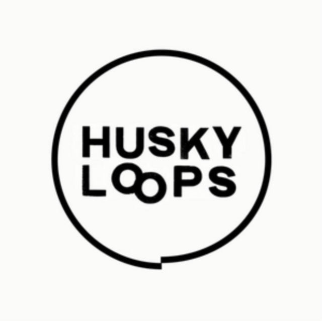 HUSKY LOOPS | EP2 | VINYL RECORD (LP)