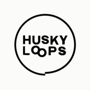 HUSKY LOOPS | EP2 | VINYL RECORD (LP)