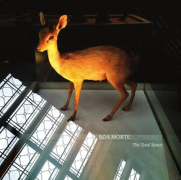 BOA MORTE | THE TOTAL SPACE | VINYL RECORD (LP)