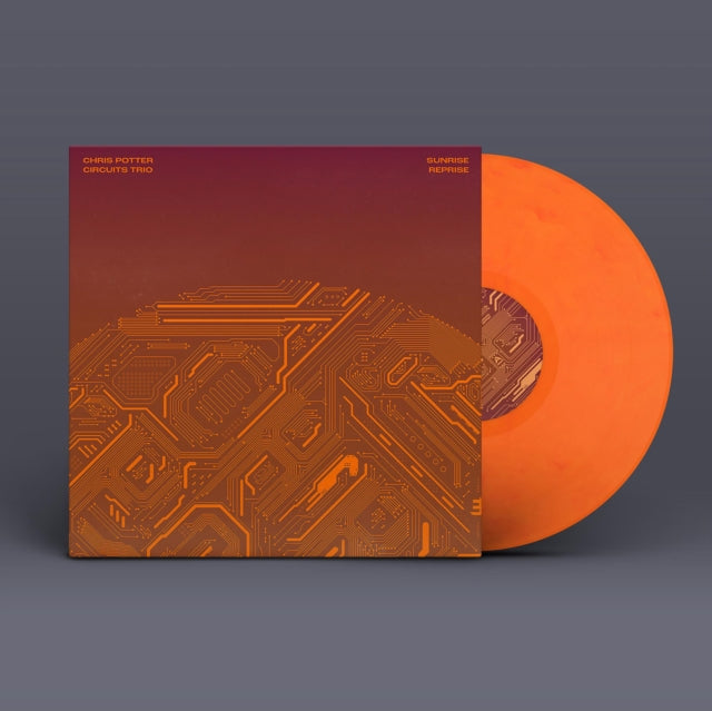 POTTER, CHRIS | SUNRISE REPRISE | VINYL RECORD (LP)