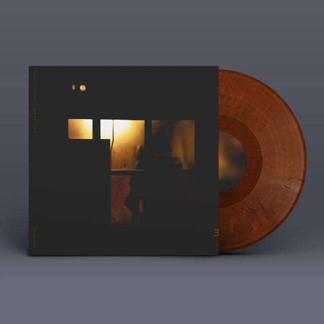 VASANDANI, SACHAL | MIDNIGHT SHELTER | VINYL RECORD (LP)