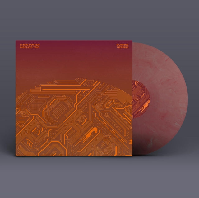 POTTER, CHRIS | SUNRISE REPRISE | VINYL RECORD (LP)