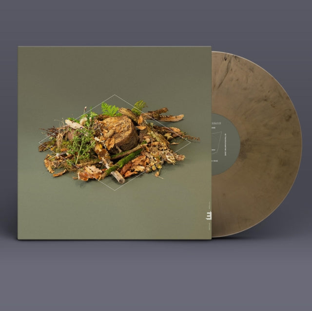 MCCREADIE, FERGUS | FOREST FLOOR (GOLD VINYL) | VINYL RECORD (LP)