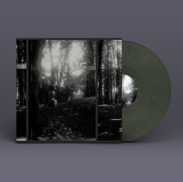 DALE, EYOLF | WAYFARERS (COLOR VINYL) | VINYL RECORD (LP)