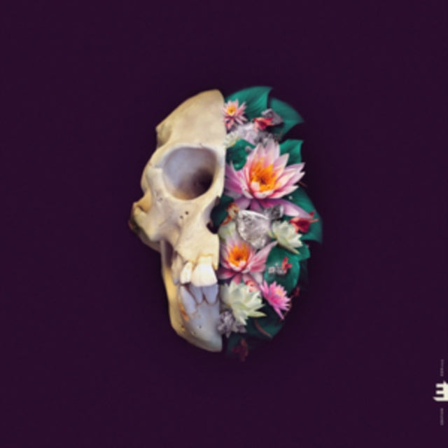 POHJOLA, VERNERI | MONKEY MIND | VINYL RECORD (LP)