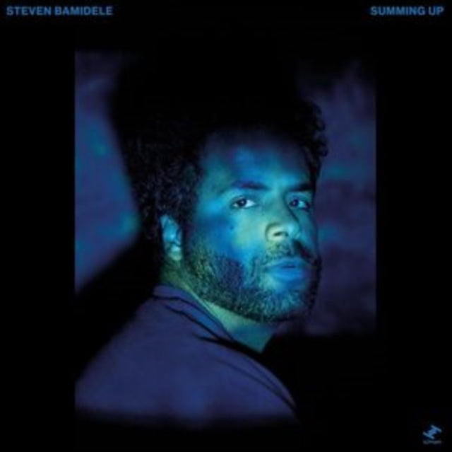 BAMIDELE, STEVEN | SUMMING UP | VINYL RECORD (LP)