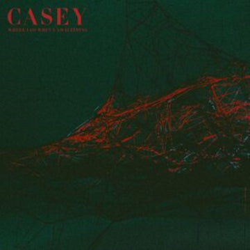 CASEY | WHERE I GO WHEN I AM SLEEPING (TRANSPARENT CRYSTAL CLEAR VINYL) | VINYL RECORD (LP)
