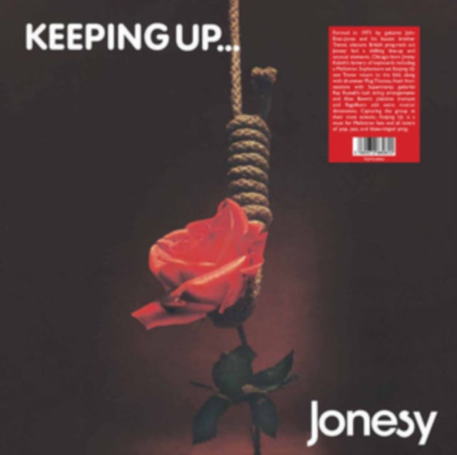 JONESY | KEEPING UP... | VINYL RECORD (LP)